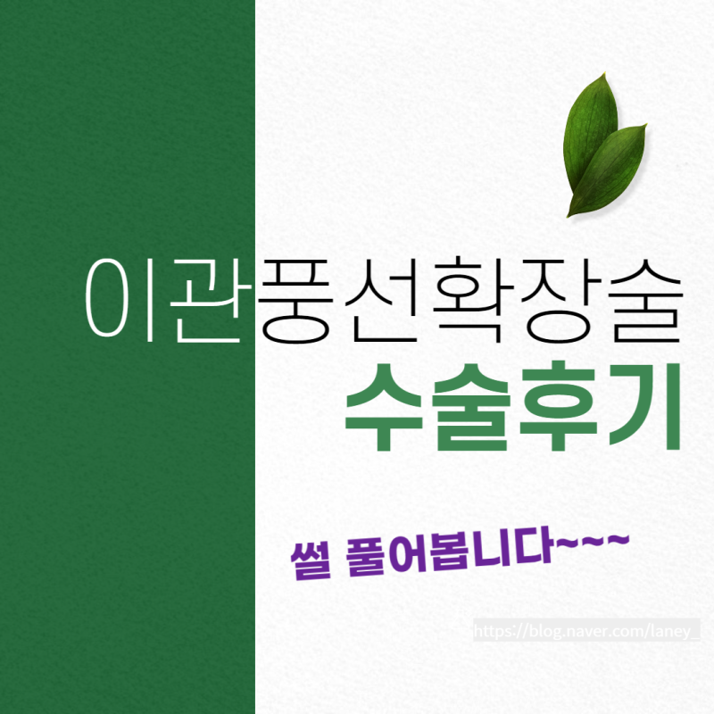 이관풍선확장술 수술 후기 당일수술센터 성인중이염 튜브환기관 세번째 시술
