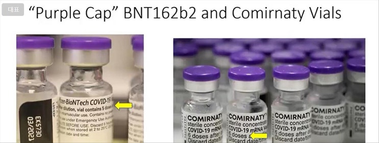  mRNA 백신들이 DNA 백신들과 어쩌면 서로 다르지 않을 가능성 (뇌피셜)