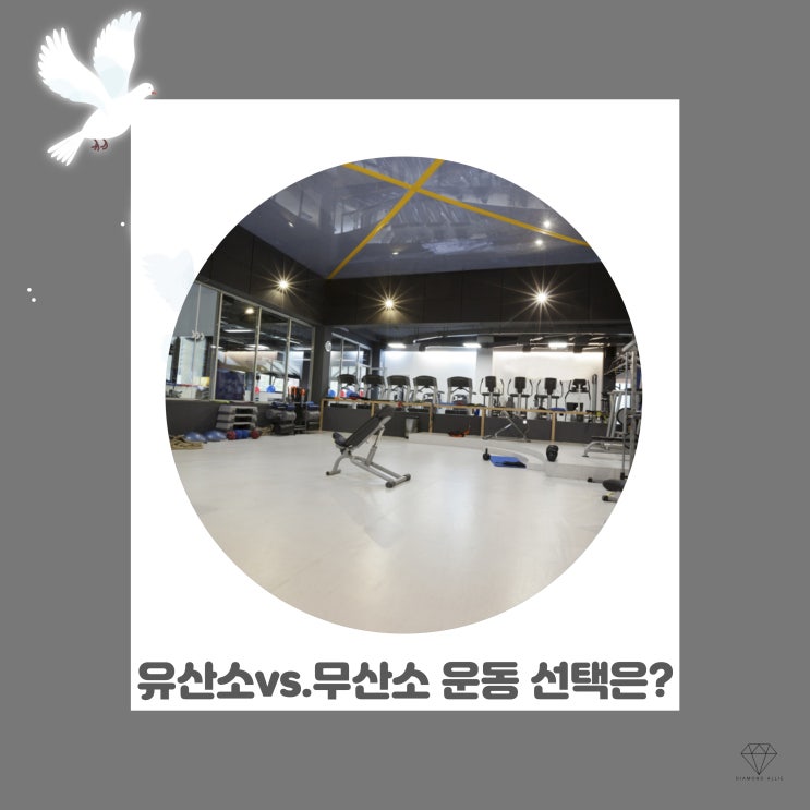  다이어트를 위한 유산소 운동 vs. 무산소 운동, 당신의 선택은?