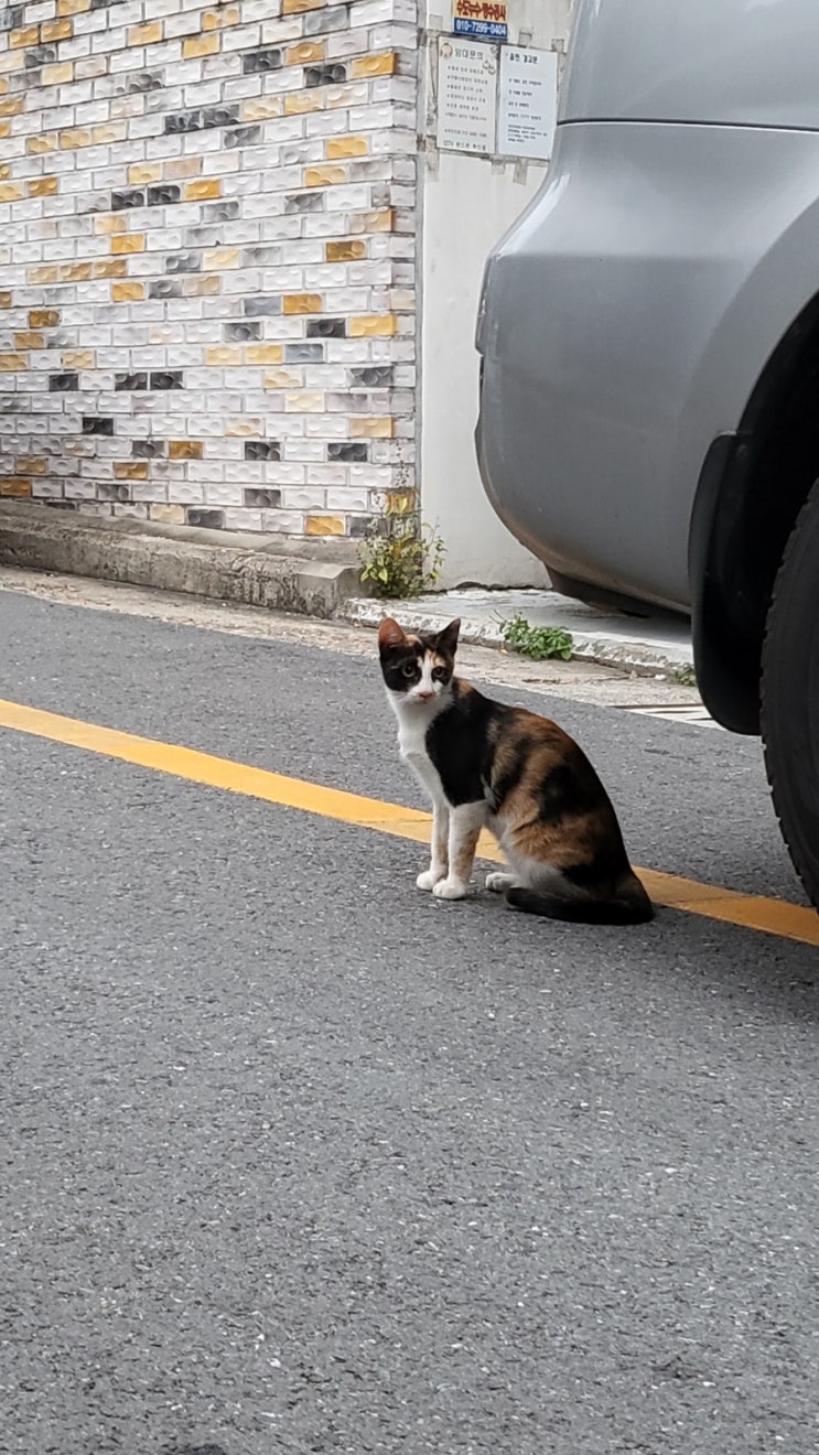 10월 첫째주 주간일기