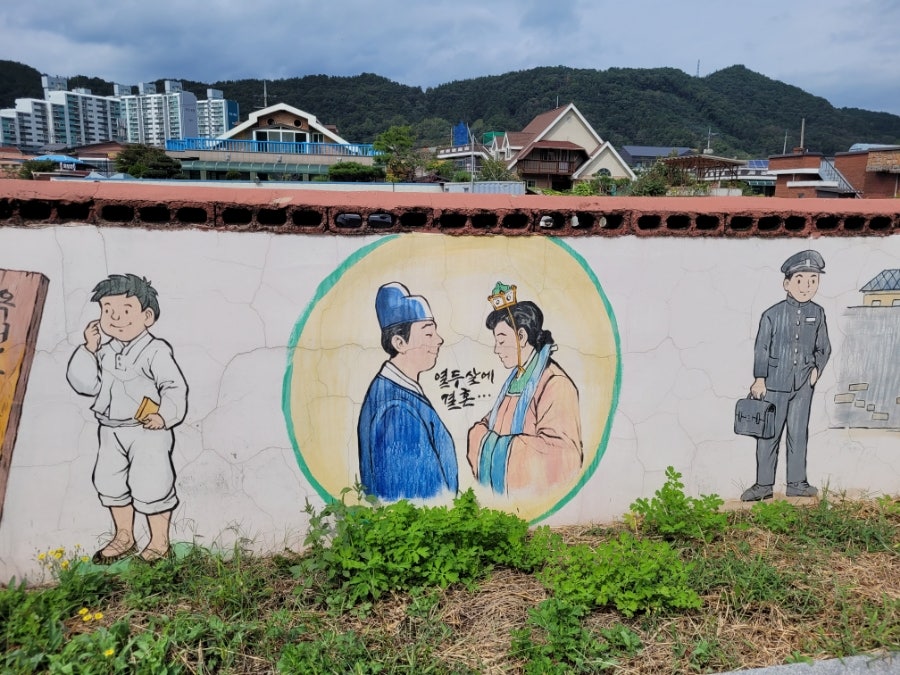 우슬초 사진 5