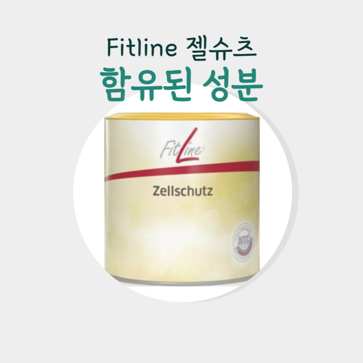  독일 피엠 피트라인 젤슈츠의 모든것!
