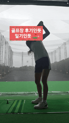  골프스윙연습기 추천(위너스피릿 미라클201 골프 스윙연습기)