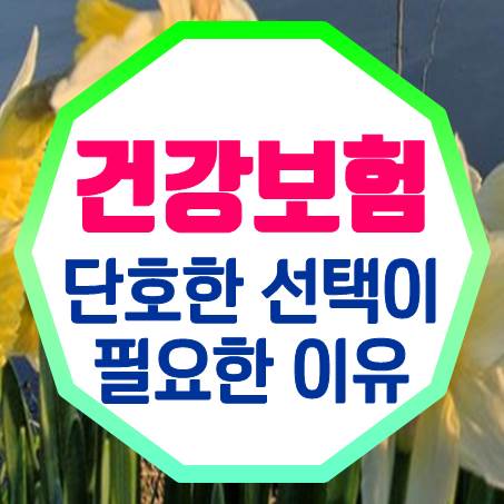  꽤 단호하게 청소년건강보험 가격 비교를 해야 하는 이유