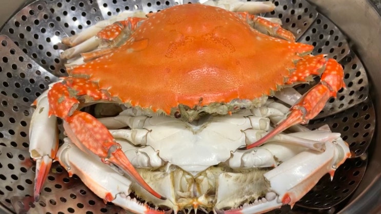  암꽃게1kg 25000원, 손질 후 꽃게찜 해먹기