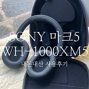 SONY WH-1000XM5 소니 마크5 내돈내산 2주차 사용후기