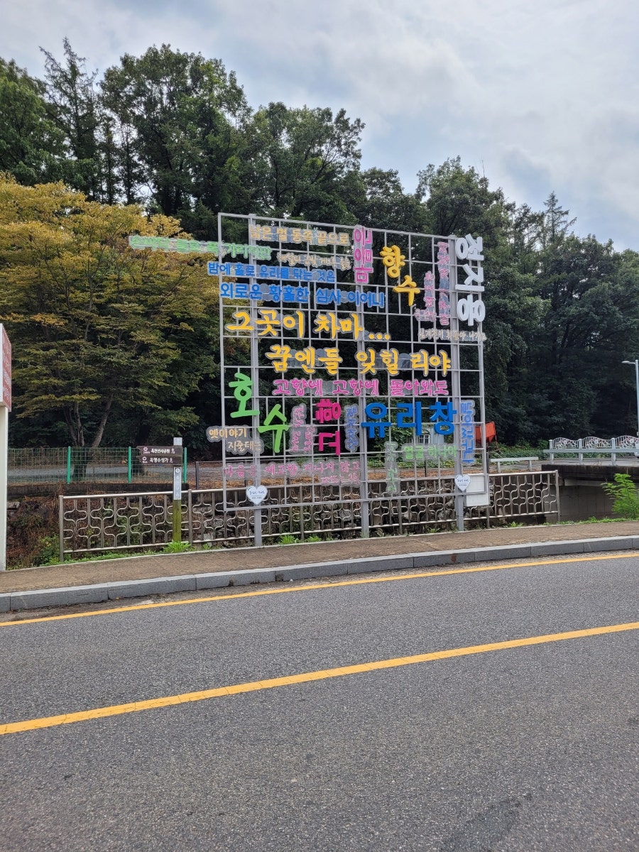 우슬초 사진 4