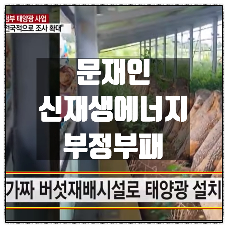  문재인정부 신재생에너지 2조 천억원 중 2616억원 부당집행 부정부패 드러나