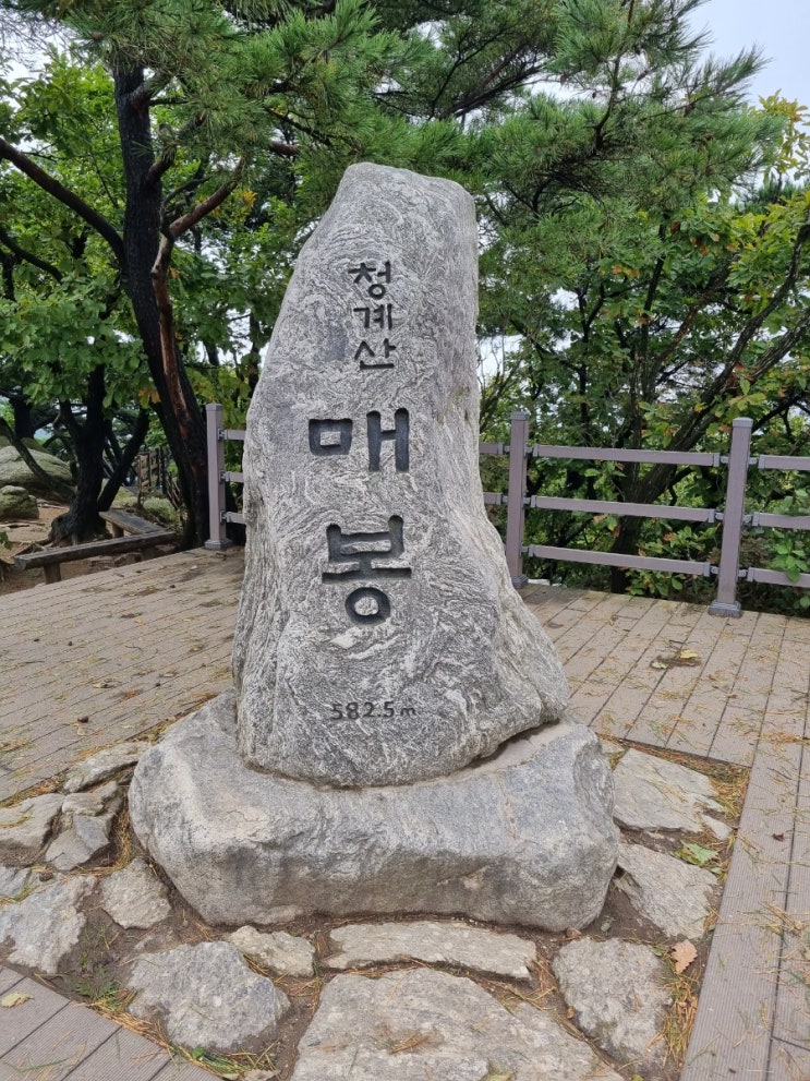 [추억 산행] 서울 청계산 매봉 등산 원터골 최단코스