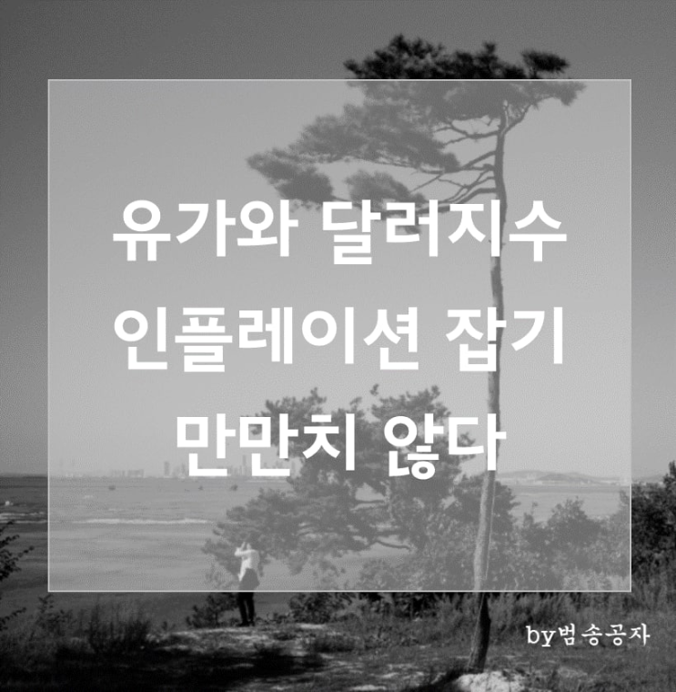  [이슈] OPEC+ 200만 배럴 감산 추진, 유가와 달러지수 인플레이션 잡기 만만치 않다