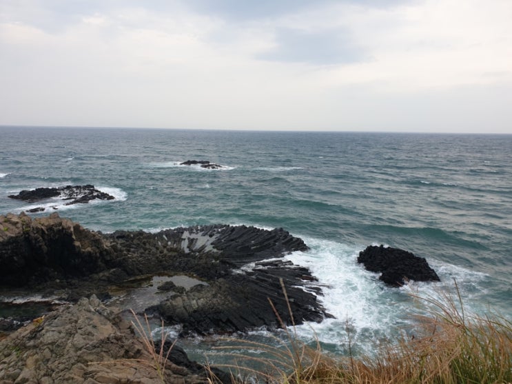  경주 가볼만한곳 제주에서 보던 주상절리대를 경주에서도~~
