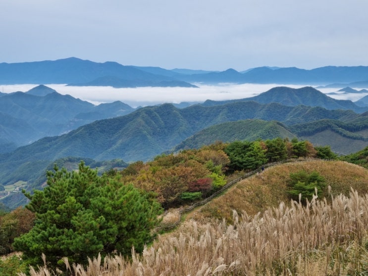  정선 민둥산 최단코스 등산코스 억새 산행 ( 거북이쉼터, 발구덕마을 )
