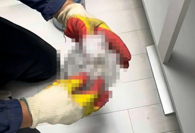 성남 싱크대 인분 아파트 어디 이름 8월사전점검 때 없었다 성남 싱크대 인분 아파트 어디 이름 8월사전점검 때 없었다