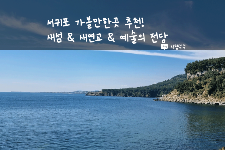  서귀포 서홍동 | 이상한 변호사 우영우 촬영지 새섬, 새연교 & 무브먼트 코리아 인 서귀포 공연보러 서귀포 예술의 전당