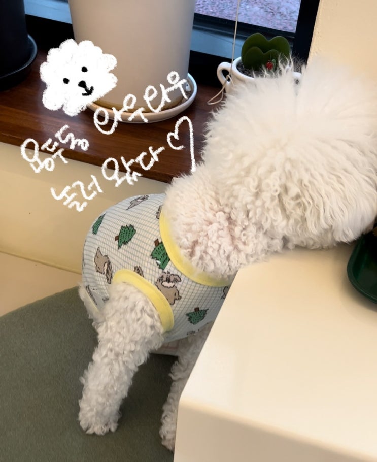  주간일기 10월 1주, 평범하고도 짤막한 기록