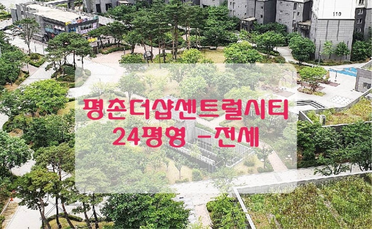  평촌아파트 전세 / 평촌더샵센트럴시티 전세 - 60m²(24평)B형