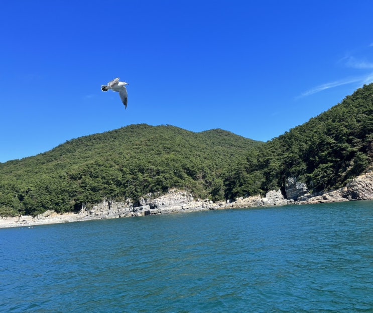  부산여행코스(태종대 배 곤포유람선, 용궁사, 국립해양박물관, 피아크베이커리, 더베이101), 5살 아이