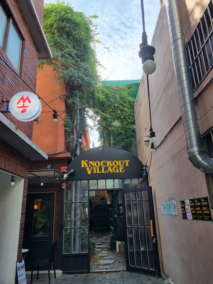  [부산] 넉아웃