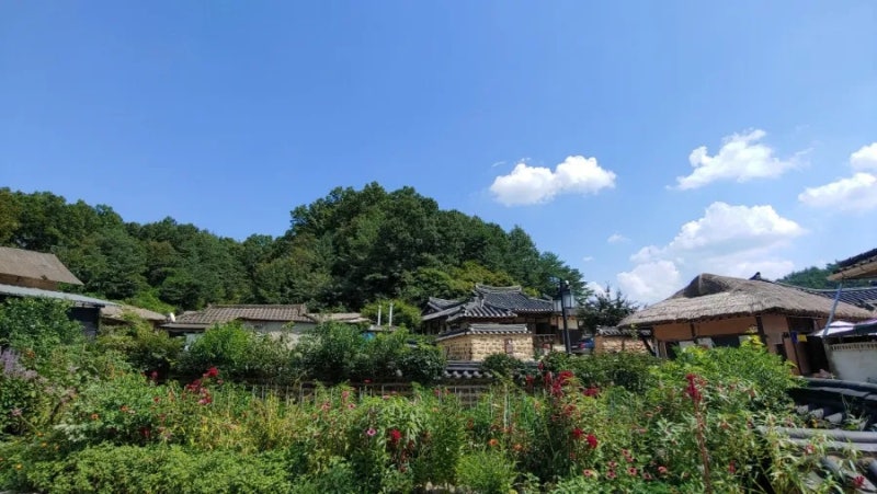 경북 영주 감성여행 무섬마을 : 네이버 블로그