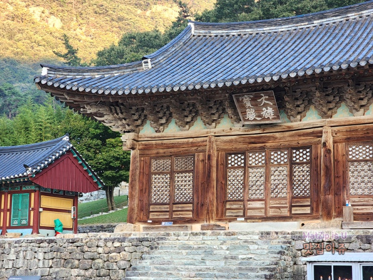  부안 변산 가볼만한곳 새벽에 방문했던 내소사 1부, 입장료 전나무숲길