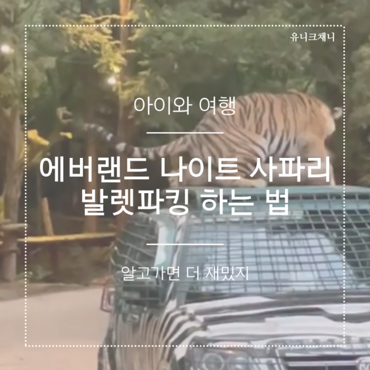 에버랜드 나이트 사파리  발렛파킹 예약 팁
