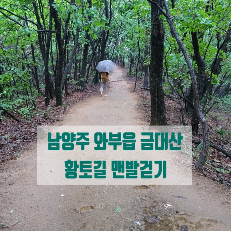  경기도 남양주 와부읍 황토길 금대산  우중 맨발걷기