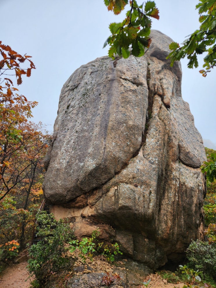  우중산행 생에 처음 설악산 대청봉에 오르다!