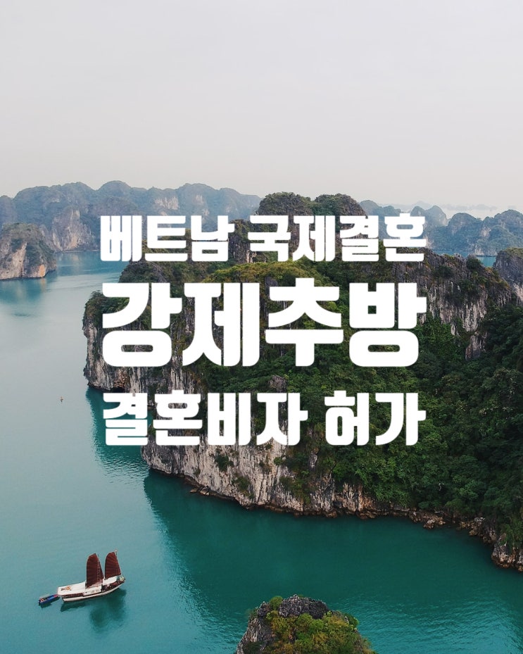 베트남여자국제결혼_결혼비자 F6 허가_불법체류_강제퇴거(추방) 베트남여자국제결혼_결혼비자 F6 허가_불법체류_강제퇴거(추방)