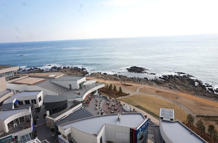 부산 힐튼호텔 아난티코브 프리미엄룸 오션뷰 2박3일 +워터하우스 수영장 이용 후기