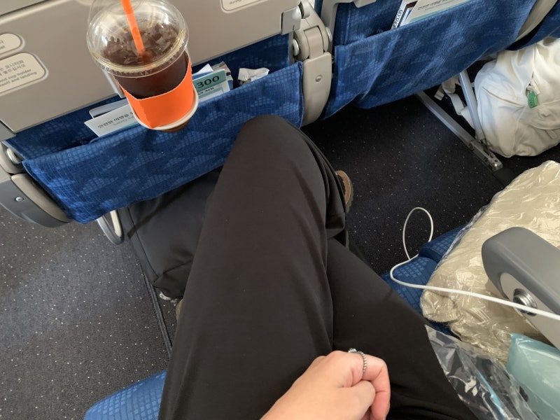 대한항공 파리행 비행기 KE901 탑승기! 기내식, 서비스 (B777-300ER) : 네이버 블로그