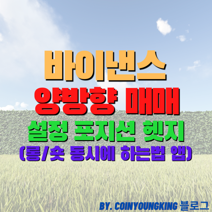  바이낸스 양방향 매매 설정 포지션 헷지 (롱/숏 동시에 하는법 앱)