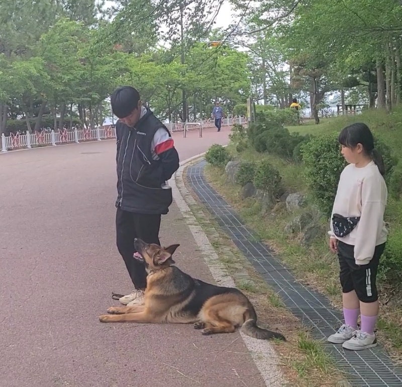 사진 6