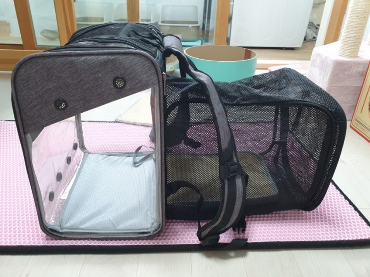 고양이 강아지 장거리 이사 확장형 이동장 고양이 여행용 백팩 겸 캐리어 투 웨이 확장형 이동장 추천과 사용 후기