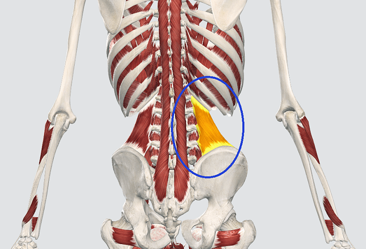 오른쪽 허리 통증의 두 가지 원인과 근막 이완으로 완화하는 방법
