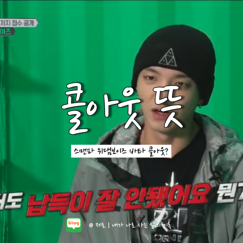  스맨파 위댐보이즈 바타 콜아웃 뜻 알아보자