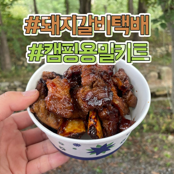  돼지갈비구이 캠핑용밀키트 고수의집밥 태능초가집갈비 택배