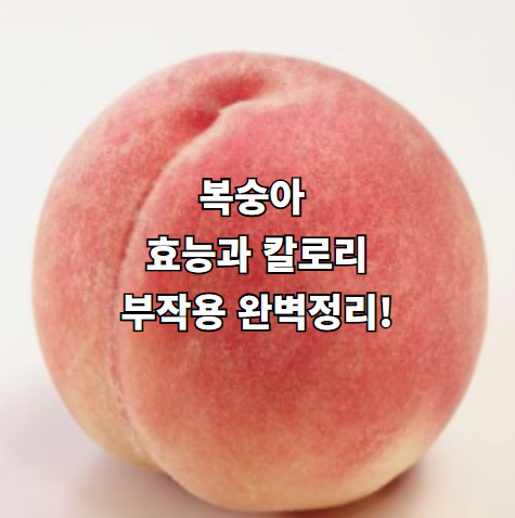  복숭아 효능과 칼로리 부작용에 대해 알아보자