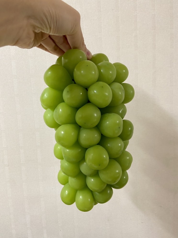  [카카오톡 선물하기] 수플린 샤인머스캣, 카톡으로 과일선물