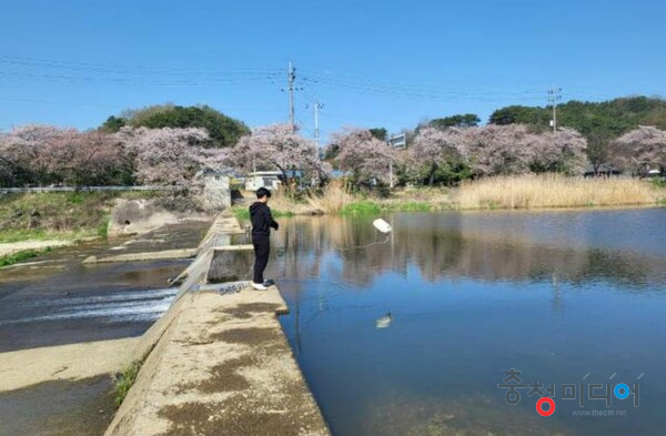  충북 하천 오염은 가축분뇨 유출 … 진천군 75건 '최다'