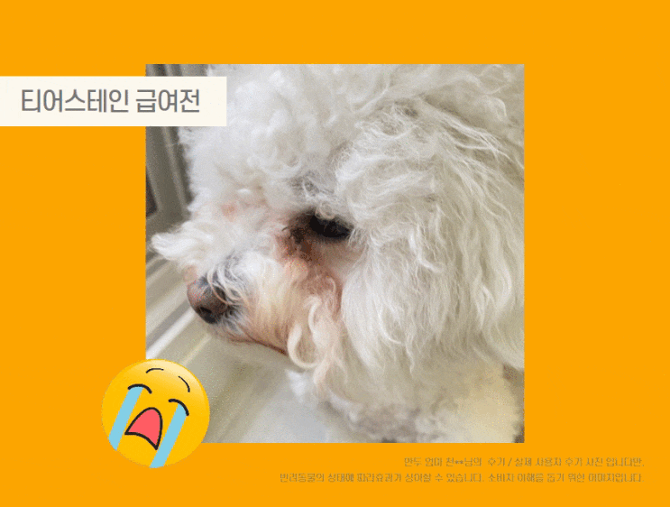 반려동물 눈물자국은 왜 생기는 걸까요?