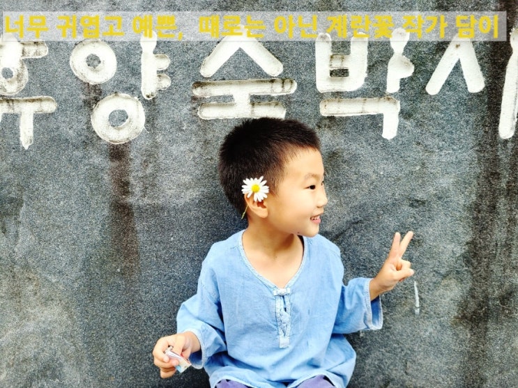  6세 아이가 동심으로 바라 본 구절초 꽃, 아빠와 동시처럼 써보기