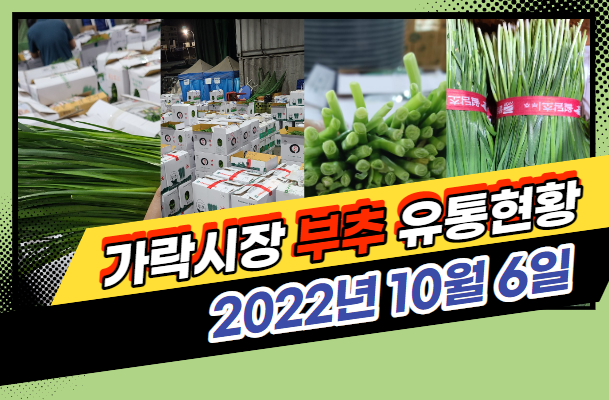  [경매사 일일보고] 10월 6일자 가락시장 "부추" 경매동향을 살펴보겠습니다!