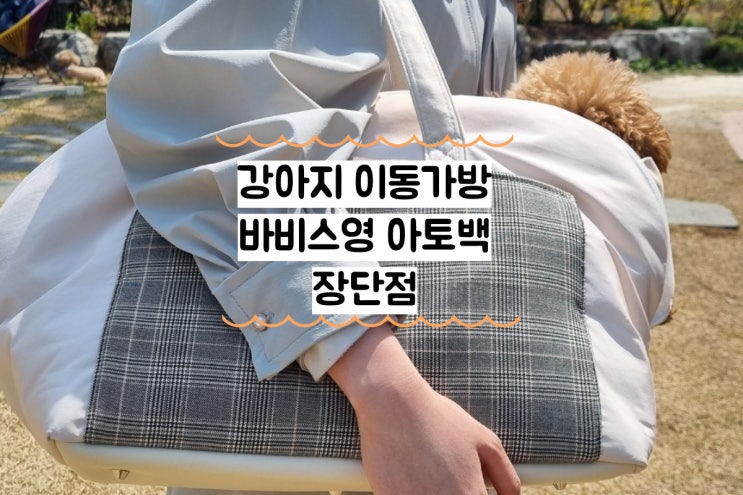  강아지 이동가방 바비스영 아토백 장단점