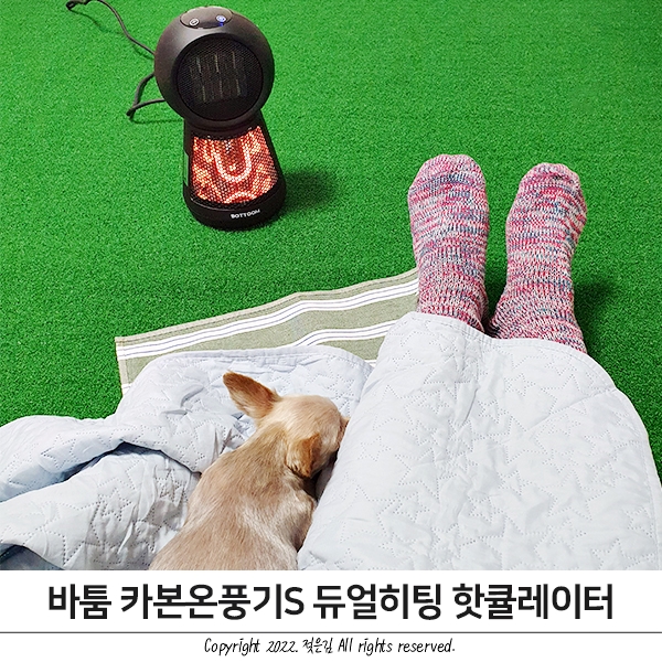 강아지와 힐링타임 바툼 카본온풍기S 듀얼히팅 핫큘레이터로 따땃하게!