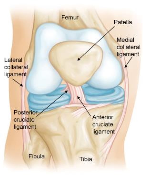 인천십자인대재활 / 전방십자인대(ACL)재활은 어떻게 해야할까요?