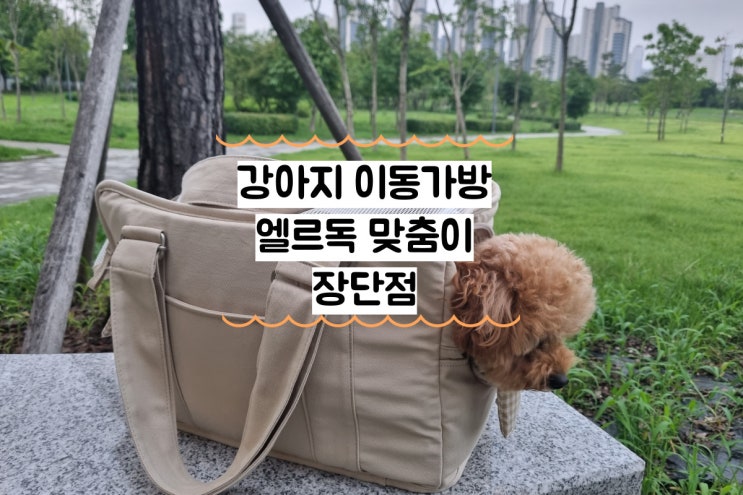  강아지 이동가방 엘르독 맞춤이 가방 장단점