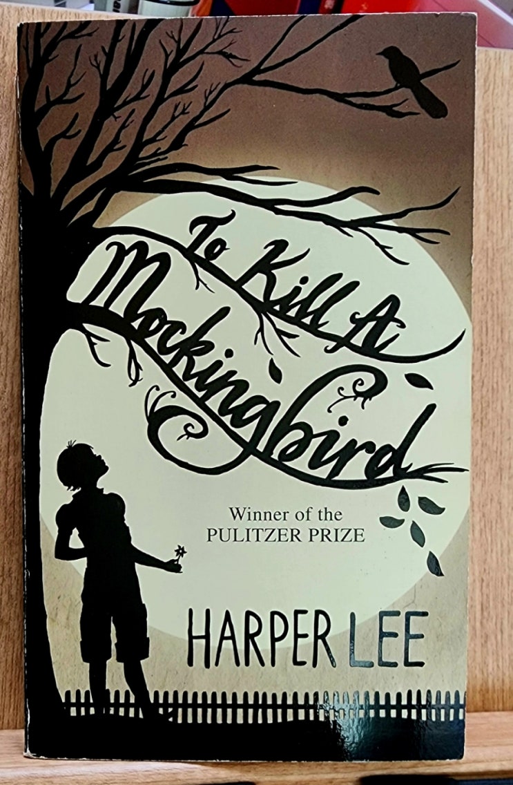  앵무새 죽이기 To kill a mockingbird , 영어 원서에 나오는 영어 표현 5