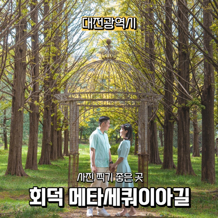  [대전광역시] 사진 찍기 좋은 곳, 한국도로공사 회덕 메타세쿼이아길