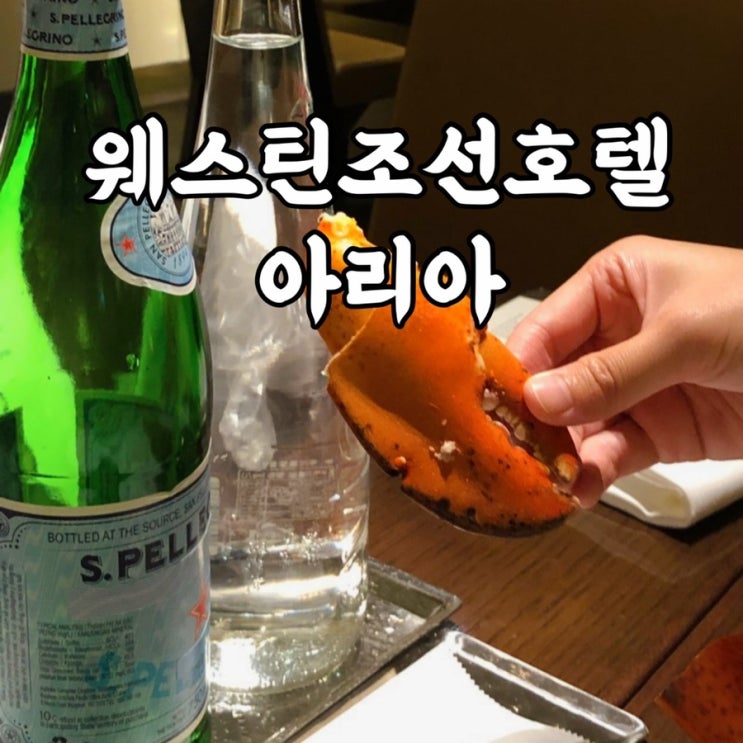  중구)소공동 웨스틴 조선 호텔 아리아 뷔페 예약 꿀팁
