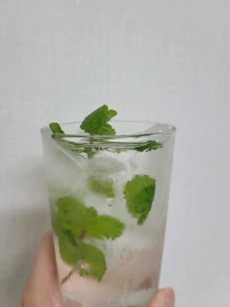  행복한 한잔, 처음부터 만드는 모히또 1탄